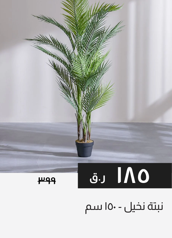 HFQ25-SD-Palm Plant - 150 cm