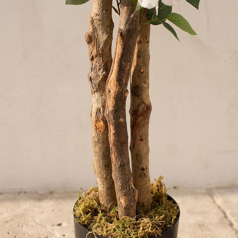gallery_2