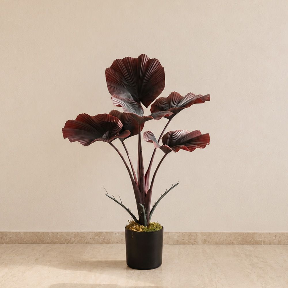 gallery_0