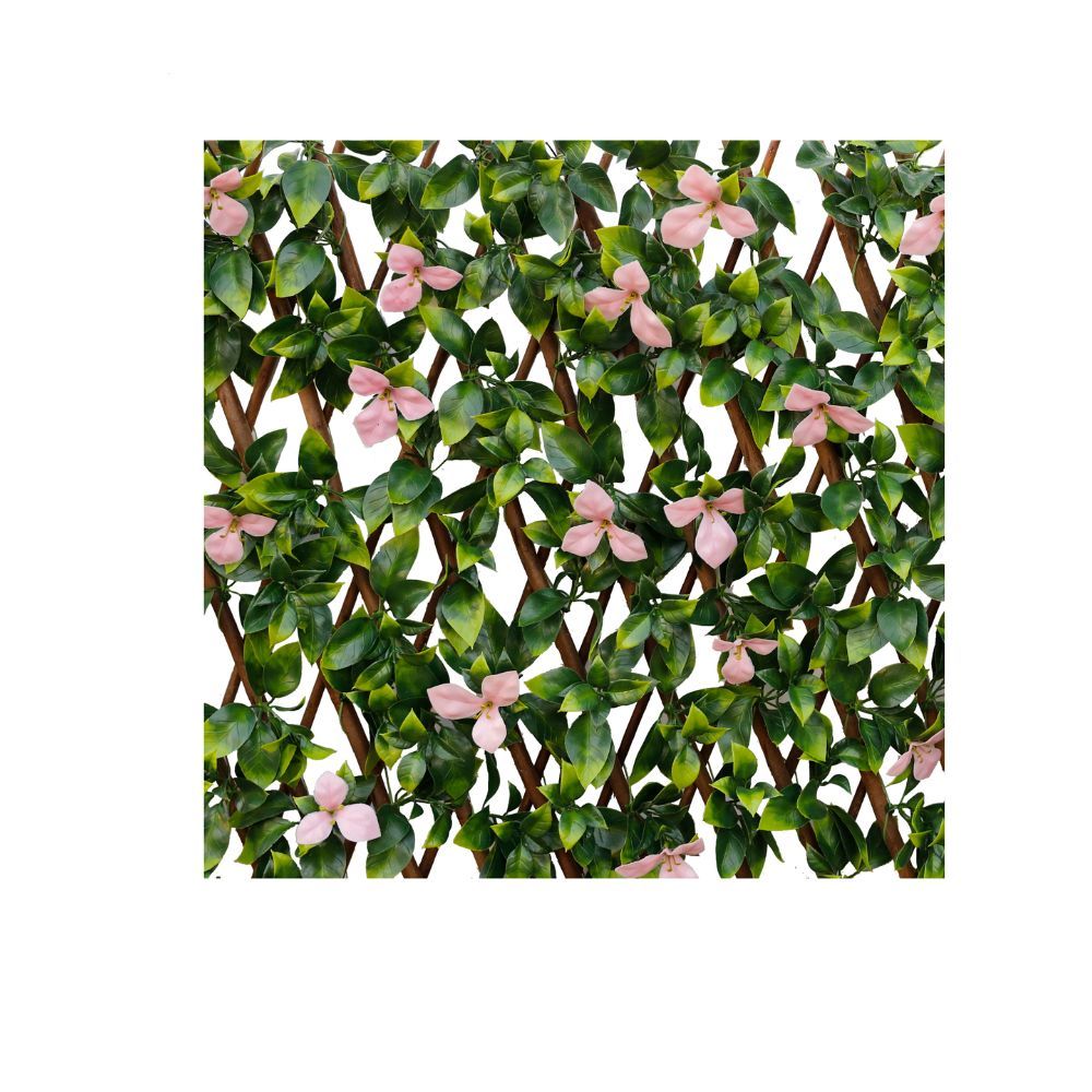 gallery_0