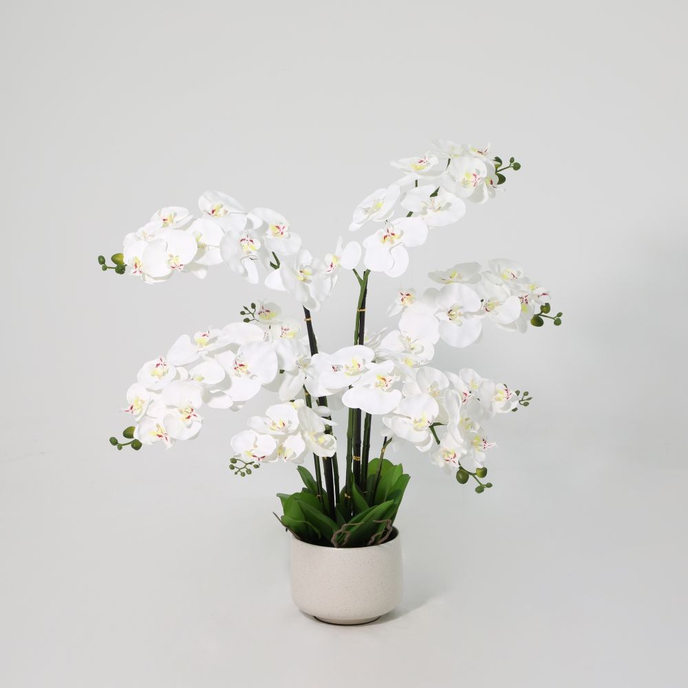 gallery_0