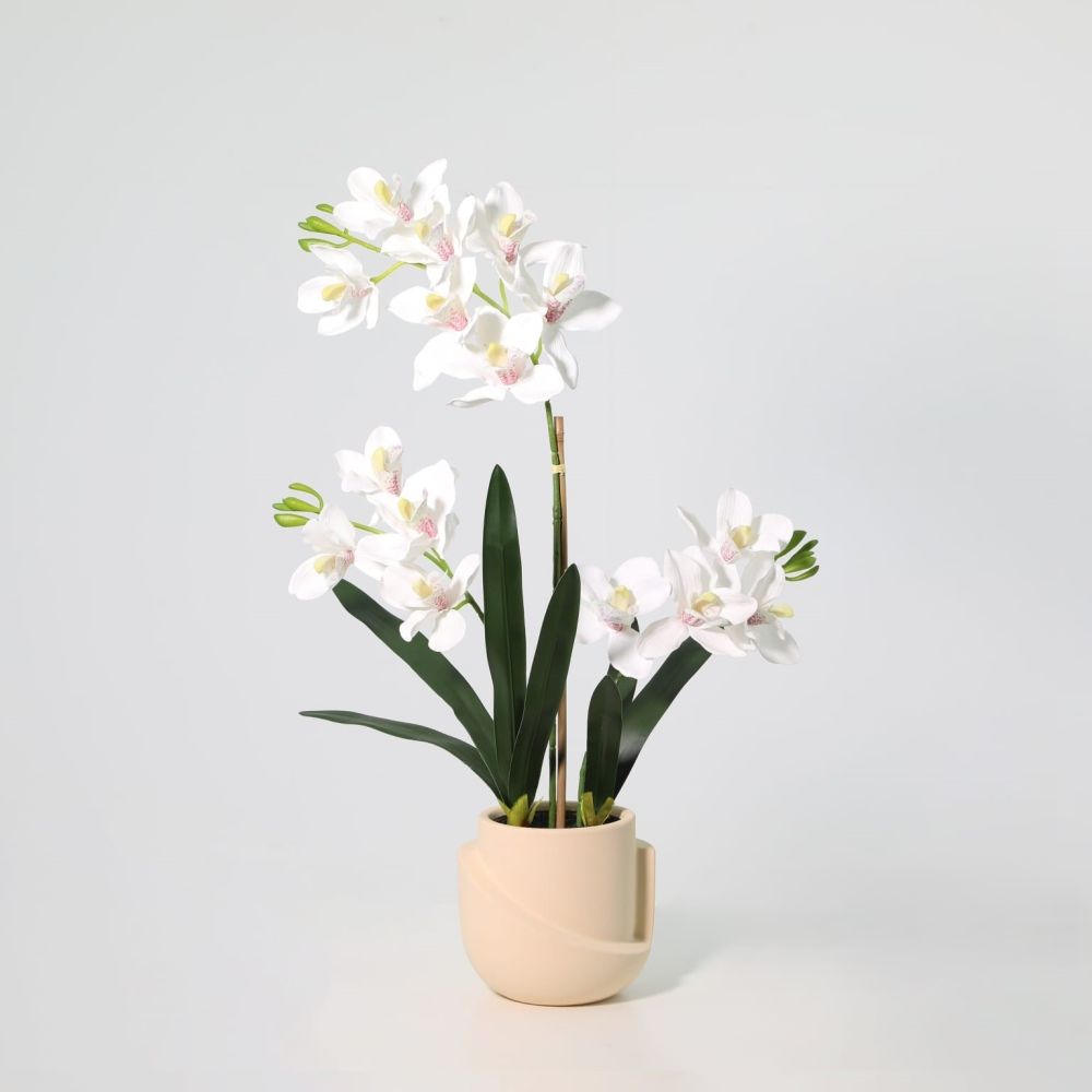 gallery_0