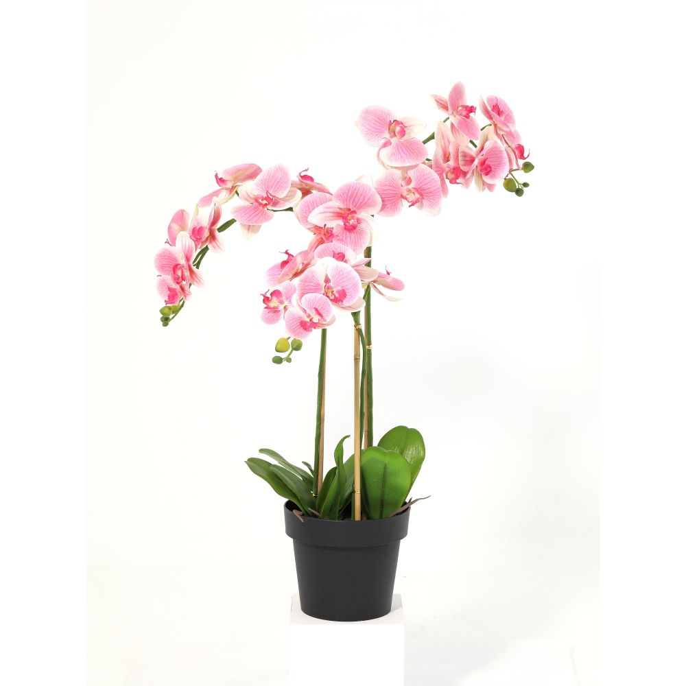 gallery_0