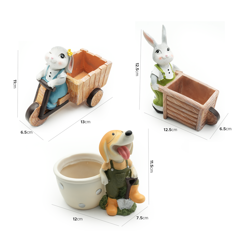gallery_4