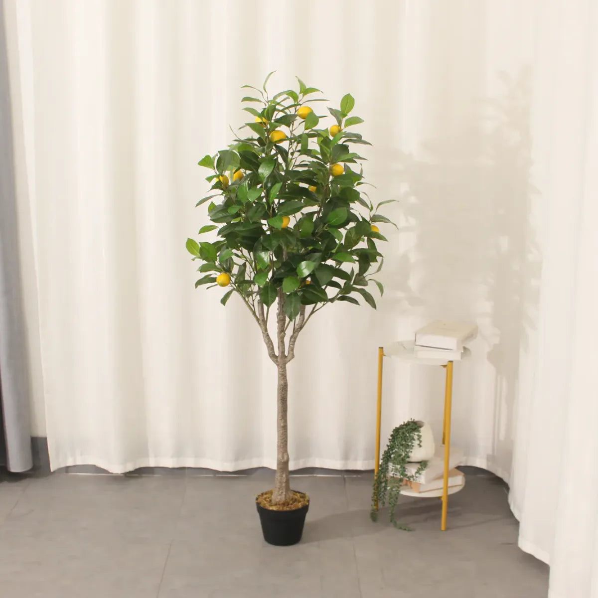 gallery_1