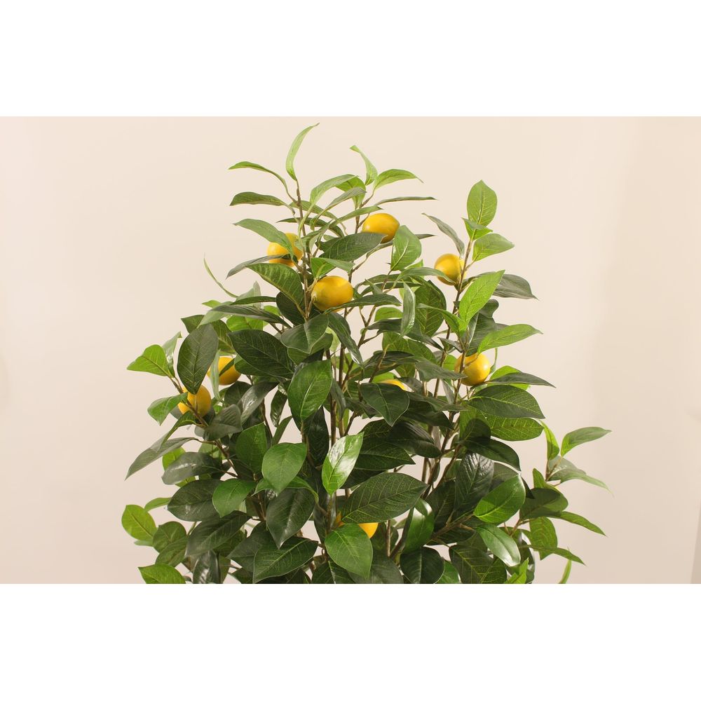 gallery_2