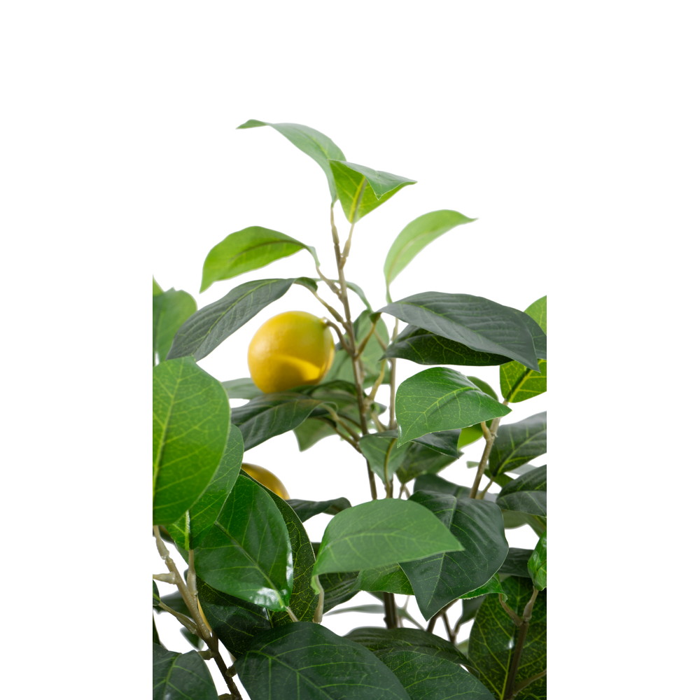 gallery_2