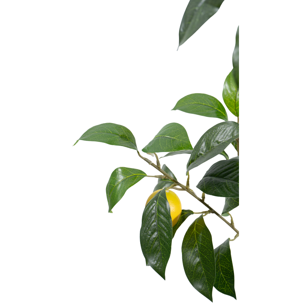 gallery_3