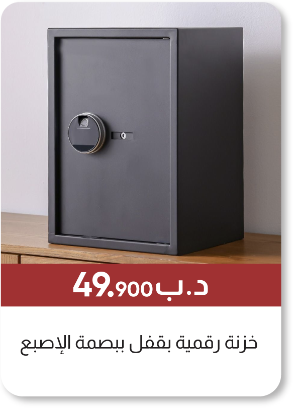 MSB25-SD- Digital Safe