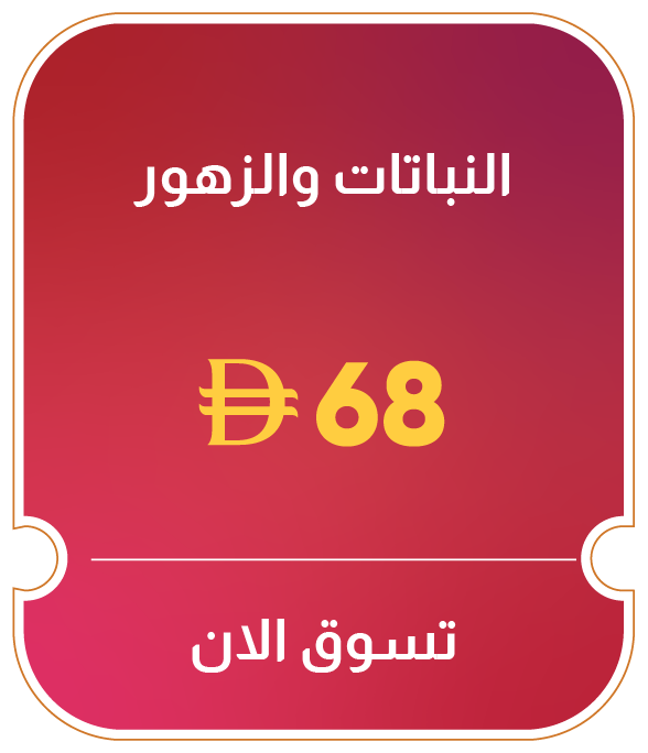 11:11U25-OD-CB-B-Plants & Flowers