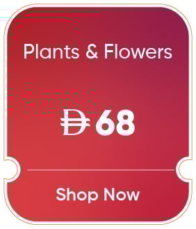 MRSU25-OD-CB-B-Plants & Flowers
