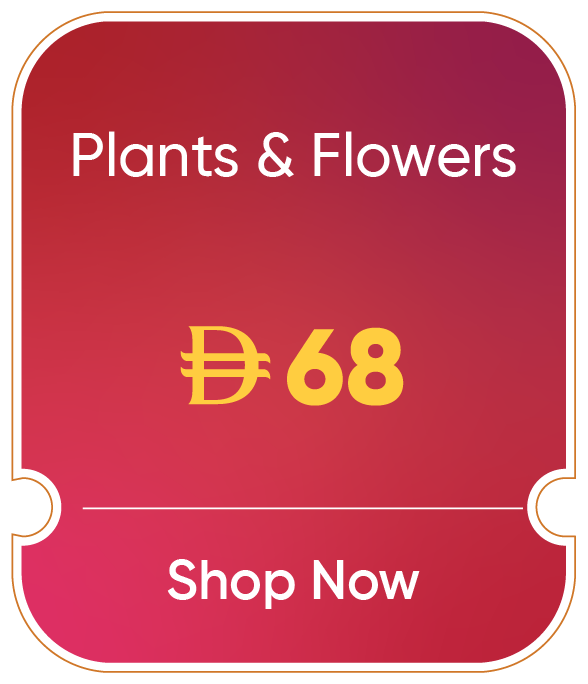 11:11U25-OD-CB-B-Plants & Flowers