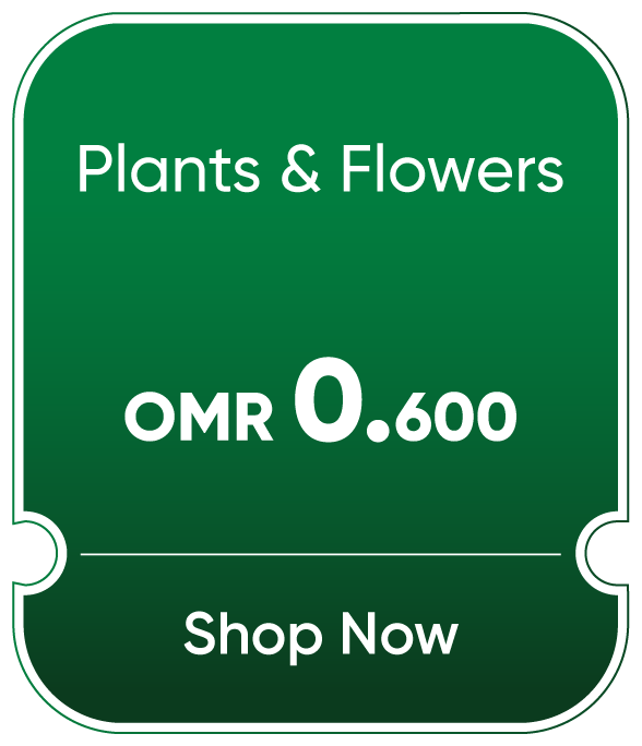 NDSO25-OD-CB-B-Plants and Flowers