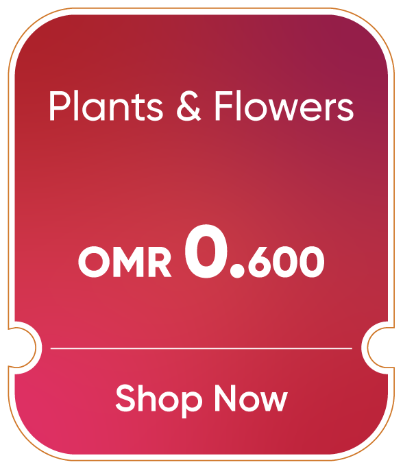 BRSO25-OD-CB-B-Plants and Flowers