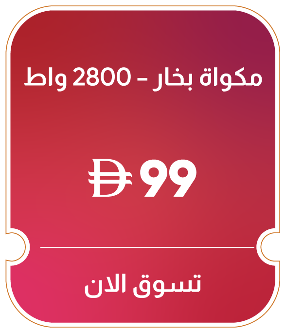 11:11U25-MDE-B-Steam Iron