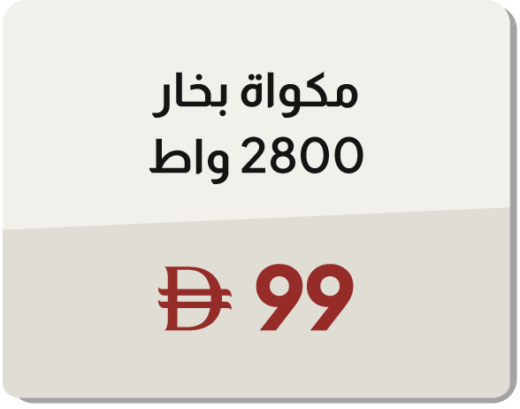 11:11U25-MDE-B-Steam Iron