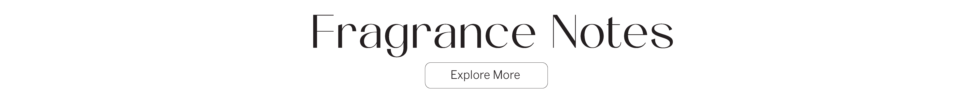 Amara-Fragrance Notes Strip