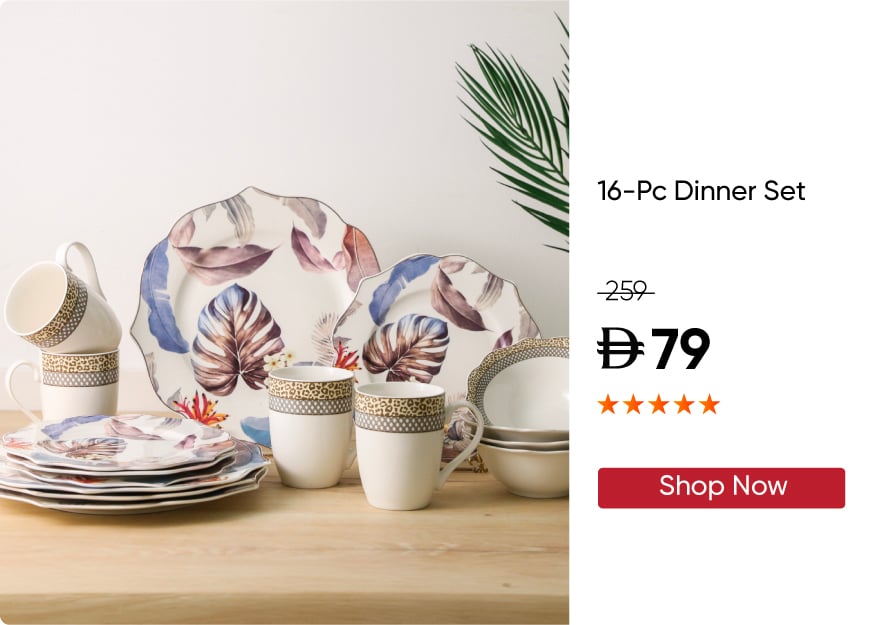 SSSU25-OD33SKU-16-Pc Dinner Set