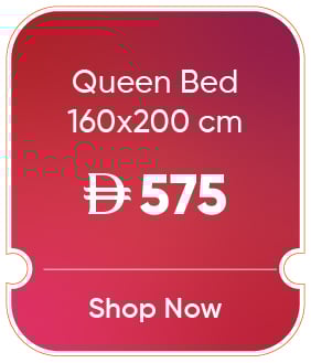 MRSU25-MDE-B-Queen Bed 160x200