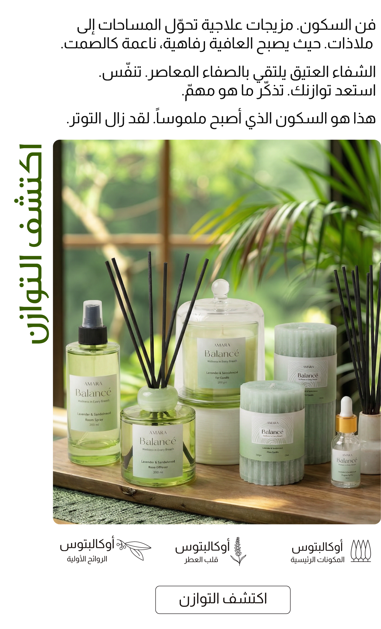 Amara-Explore Balance