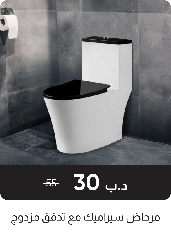 RSB-SD-Ceramic WC with Dual Flush
