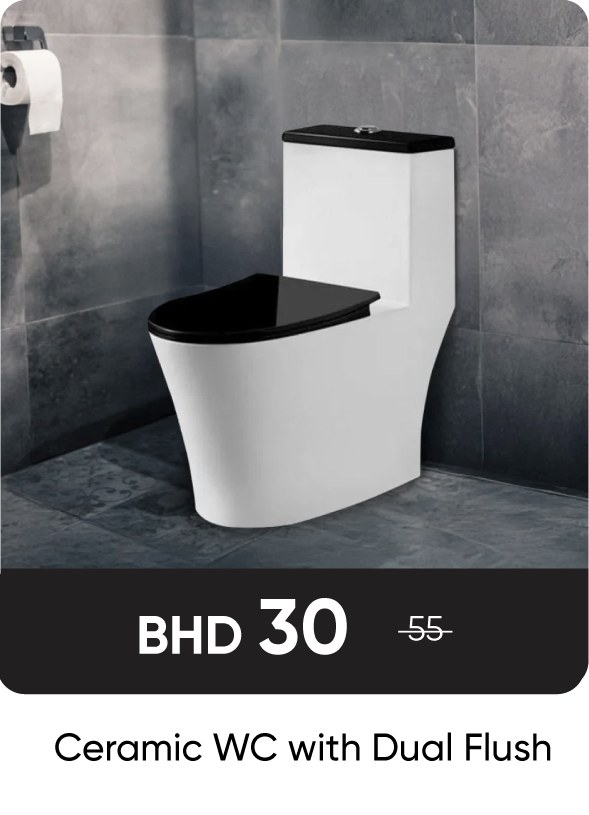 RSB-SD-Ceramic WC with Dual Flush