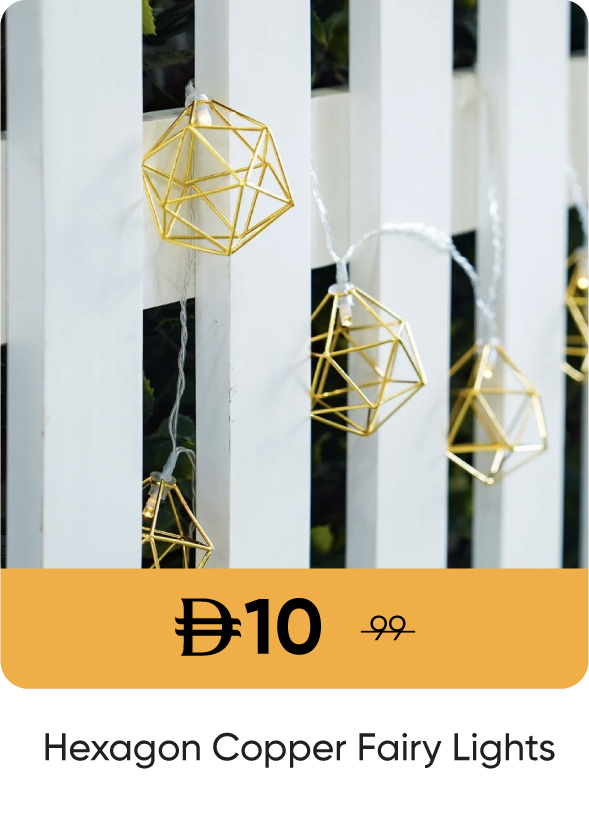 U25-12H Sale-Copper Fairy Lights