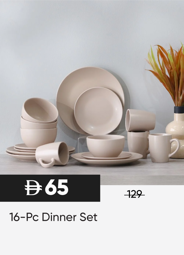 SFSU25-SD-16-Pc Dinner Set