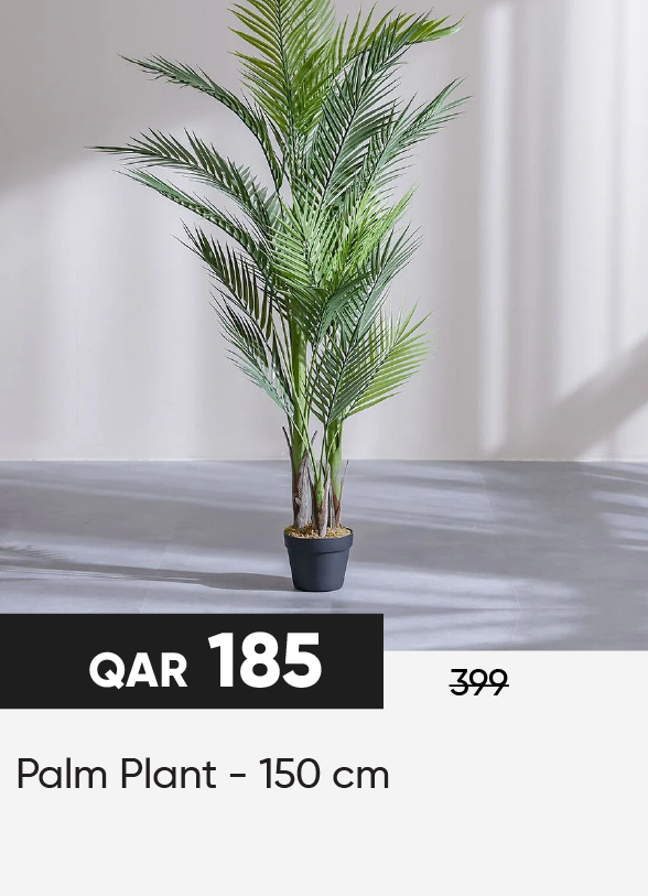 HFQ25-SD-Palm Plant - 150 cm