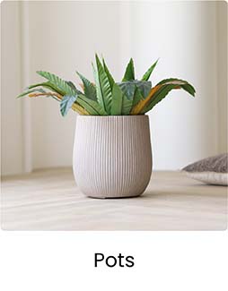 GA OM Pots