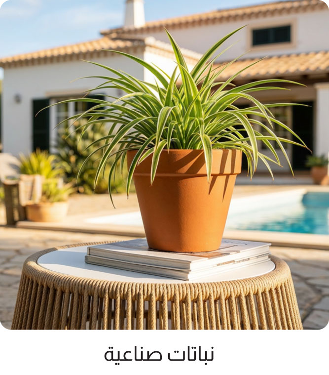 U26-OD-CatBlock-ArtficialPlants-WO%