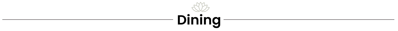 Strip Dining GA OM