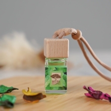 Car Fragrances