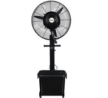 Fans