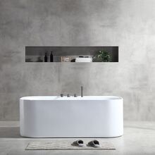 Free Standing Bathtub & Shower