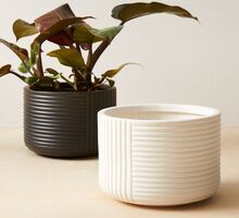 Indoor Planters