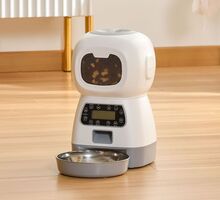 Pet Accessories