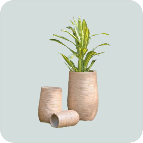 Flower & Planter Pots