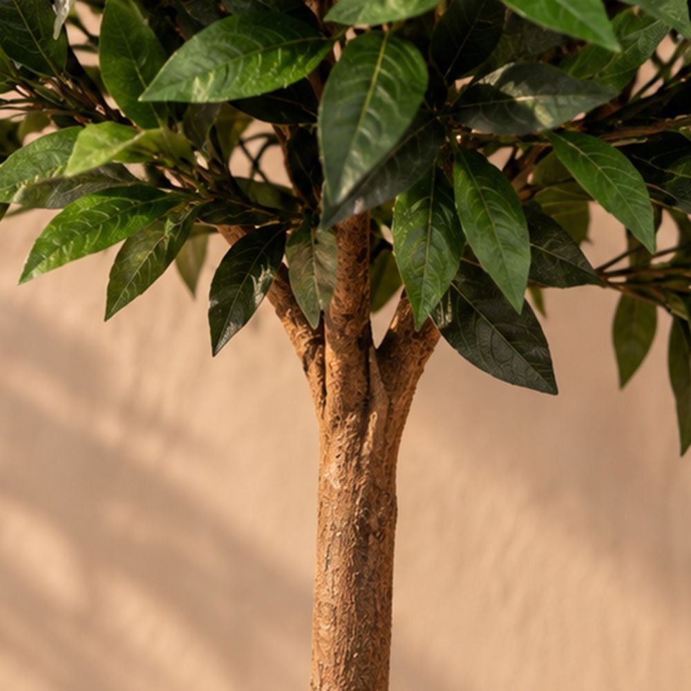 gallery_1