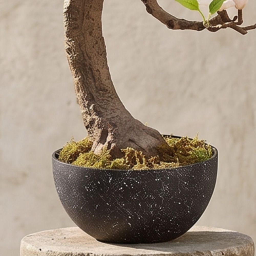 gallery_2