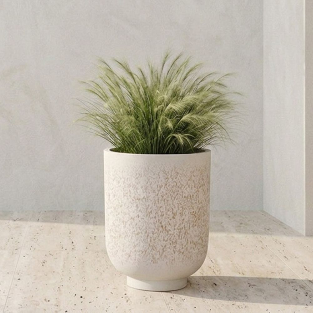 gallery_0