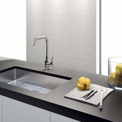 Hansgrohe Ecos L Sink Mixer Chrome