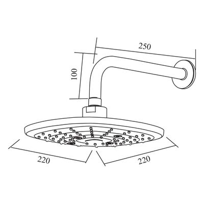 Milano Robin Overhead Shower With Arm