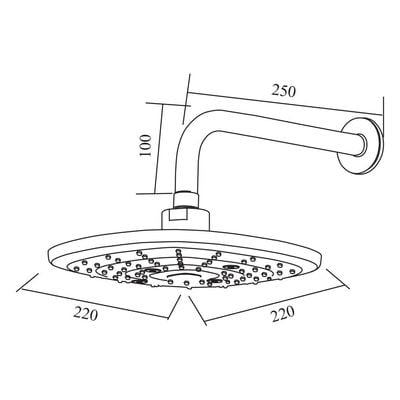 Milano Robin Overhead Shower With Arm