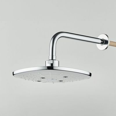 Milano Robin Overhead Shower With Arm