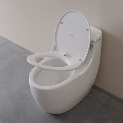 Siphonic 1Pc W/ Uf Sc S-Trap 250Mm (839)