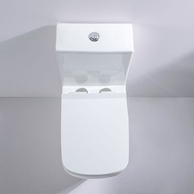 Milano Plus Wc One Piece Pro A529 Uf Cover S Trap 250Mm White
