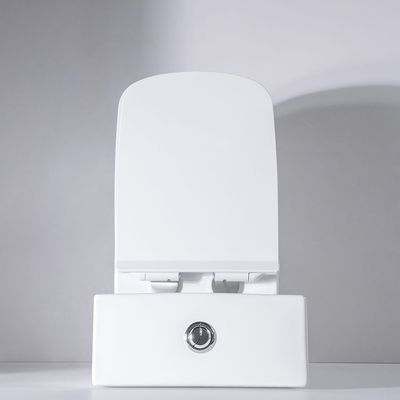 Milano Plus Wc One Piece Pro A529 Uf Cover S Trap 250Mm White
