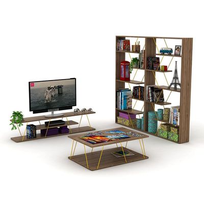 Home Canvas Tars Modern Bookshelf Brown/Gold 84x157x24cm