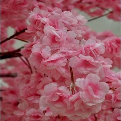 Artificial Cherry Tree Pink 4meter